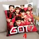 GOT7 抱枕 JB 珍榮 榮宰 有謙 Mark Jackson BamBam 抱枕 雙面印刷 雙面圖可不圖 生日禮 贈品 (320元)