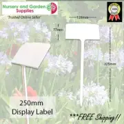 250mm Plastic Display Label - BULK QTY 350 or 700