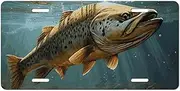 Car License Plate Frame Car Licence Plate Covers Personalized Tag Fly Fin Fish Aluminum Novelty License Plate License Plate Holder Automotive Exterior Accessories