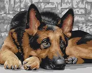 YSCOLOR Painting by Numbers Simple Animal Oil Color Lying Dog DIY Oil Painting by Numbers Art Handmade Gift Home Decoration 16X20inch