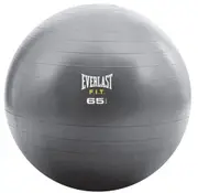 Core Strength Ball 65cm