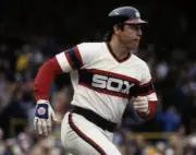 Carlton Fisk Chicago White Sox at the American League Championship- Old Photo 1