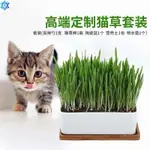 POTTERY FLOWER POTS NATURAL BARLEY SEEDS CAT GRASS CAT