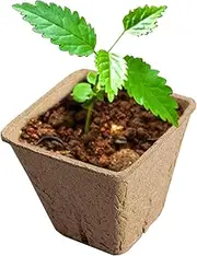 Peat Pots for Seedlings,Compostable Planting Cups - Outdoor Nursery Tray, Flower Germination Starter, Vegetable Growing Tools for Yard Lawn Garden Tomato Saplings