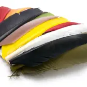 TURKEY BIOT QUILLS - Hareline Fly Tying Feathers - 1 Pair NEW!