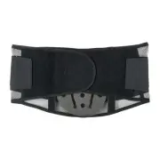 Condor Back Support with Lumbar Pad,Black,L 1M706 Condor 1M706 L 190735051252