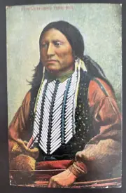 Mint USA Picture Postcard Native American Indian Kiowas Kicking Tribe Bird