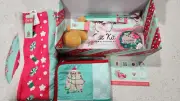 PUSHEEN CAT KIT Winter 2023 Puzzle Mat Hideaway Bed Crinkle Wand Toy