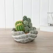 Botanica Cactus With Cement Pot for Home Party Office Spa Cafe