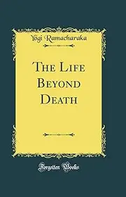The Life Beyond Death (Classic Reprint)