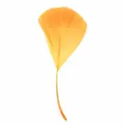 Stripped Goose Nagoire Feathers 10 grams - Apricot