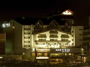 天安Metro觀光飯店Metro Tourist Hotel Cheonan