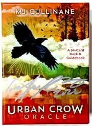 URBAN CROW ORACLE Tarot + guide book + 20 Card EXPANSION pack + Extras HAY HOUSE