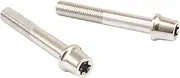 PLOT brembo CMBT-065P Stainless Steel Caliper Mount Bolt, Polished, 2.6 inches (65 mm), Taper Cap, M10/P1.25, Hexalobula, Pack of 2