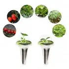 T 100ML Hydroponic Plant Food Hydroponics Nutrients Set W/Grow Sponges A B