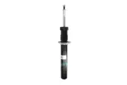 Shock absorber BILSTEIN 24-258852 (for: Volvo)
