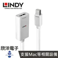 在飛比找樂天市場購物網優惠-※ 欣洋電子 ※ LINDY林帝 MINI DISPLAYP