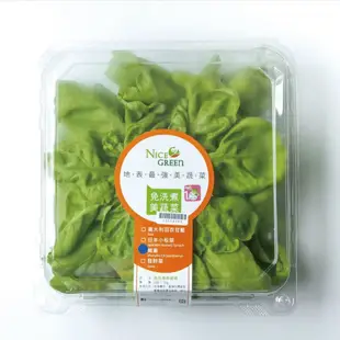 NICE GREEn  美蔬菜茼蒿盒1盒  ( 預購商品 每週一和三出貨 生菜 溫沙拉 萵苣 蔬果汁 水耕蔬菜 )