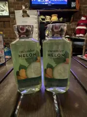 Lot of 2 Bath & Body Works Shower Gel 10 fl oz Vitamin E - Cucumber Melon