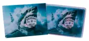 Cape Cod Shark Playing Cards - Entering Cape Cod