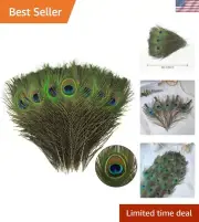 Arts & Crafts Peacock Feathers - 120pcs Natural with Big Eyes for Decorations