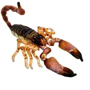 Spike Scorpion Plush Soft Toy 38cm Stuffed Animal by Huggable Toys