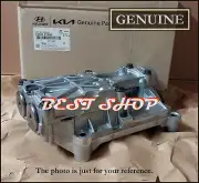 233002CTC0 OEM CARRIER ASSY-BALANCER SHAFT For Hyundai Santa Fe, Sorento / DHL