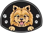 Personalized Stainless Steel Dog ID Tag Name Plate Anti-Lost Pet Name Tag Pendant Custom Engraved Cat and Dog Nameplate Label Pet Collar Supplies Accessories,Pomeranian,Gold