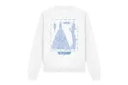 Top Gun Unisex Adult Jet Diagram Sweatshirt (White) - UTTV12961