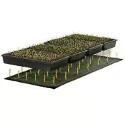 50x25cm Seed Germination Clone Starter Pad 110V/220V Seedling Heating Mat 1 Pcs