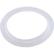 Pentair 959000 Wall Fitting Gasket Pent Cyclone Micro BWG