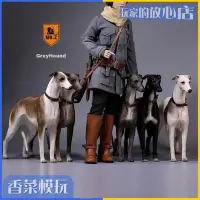 在飛比找Yahoo!奇摩拍賣優惠-眾誠優品 Mr.Z仿真動物第十四彈 16靈緹犬 格力犬 全套