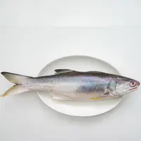 在飛比找誠品線上優惠-【天和鮮物】台灣鹹水午仔魚(300g/包)