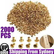 2000PCS Beekeeper Beekeeping Beehive Bee Hive Brass Frame Eyelets Equipments AU