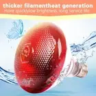 INFRA RED HEAT BULB LAMP 250W Poultry Chick Brooder Livestock Lambs UK ъ◆ ⭐ B8R4
