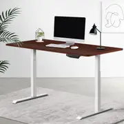 Artiss Electric Standing Desk Dual Motorised Computer Desk 120/140cm