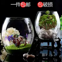 在飛比找蝦皮購物優惠-🎉台灣現🎉鱼缸 生態缸 烏龜缸#透明玻璃魚缸水培透明玻璃花瓶