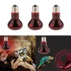 3 Pcs Heat Light Terrarium Heant Lamp for Reptile Amphibian E27 Bulb 75W
