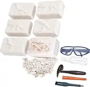 Dazmers Dino Fossil Dig Kit - Digging Toy with Excavating Tools & 6 Different Dinosaur Skeletons - includes Chisel and Tools - Fun Entertainment for Kids to Learn Archaeology, Science and STEM