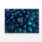 Dark Green Cactus Flower Closeup Print 100% Australian Made 120x90cm (Stretched Canvas)