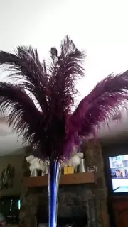 ostrich feathers deep purple grade B 18 ct. 26-28"