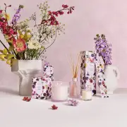 CIRCA Honeysuckle & Frangipani Diffuser 250ml