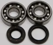 NEW ALL BALLS CRANKSHAFT BEARING/SEAL KIT- 24-1024- YAMAHA/YZ125