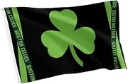 Desert Cactus Boston Celtics Flag NBA 100% Polyester Indoor Outdoor 3x5 feet National Basketball Association Team Flags (Flag City Edition 24-25 B)