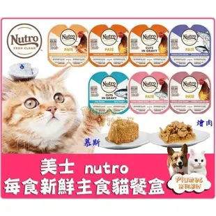 現貨⚡美士 Nutro《 每食新鮮主食貓餐盒 》75g 分開餵 貓餐盒 貓罐頭 貓咪主食罐 貓主食罐 燴肉 慕斯