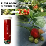 YEGBONG PLANT GROWTH NUTRIENT SUSTAINED RELEASE TABLETS POTT