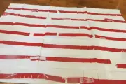 PILLOW SLIPS ~ SHERIDAN ~ Pair Contrast Sides ~ MY FRENCH CONNECTION ~ REDUCED!
