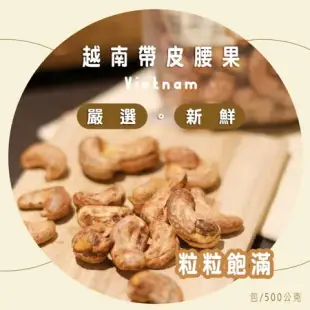 【HUYNH GIA】越南鹽味帶皮腰果500g (2包/組)