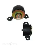 Transgold Engine Mount - TEM2443