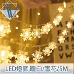 【VIITA】LED聖誕燈飾燈串/居家裝潢派對佈置燈串 暖白/雪花/5M